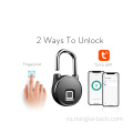 Smart Lockout Padlock Отпечатка пальцев для безопасности с туйей